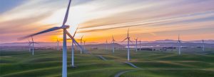 FAQ Regarding Green Businesses